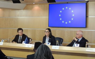 La participación digital pilar de la vigilancia democrática